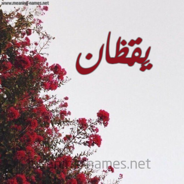 شكل 18 صوره الورد الأحمر للإسم بخط رقعة صورة اسم يَقْظان IAQZAN