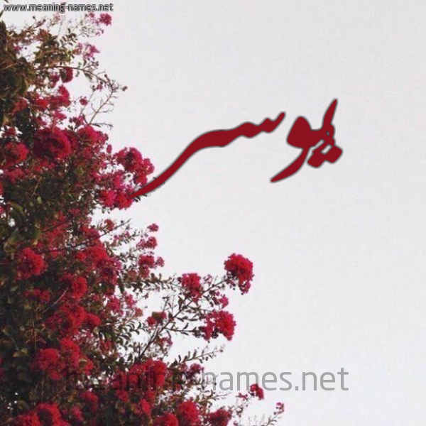 شكل 18 صوره الورد الأحمر للإسم بخط رقعة صورة اسم يُوسر Yosr