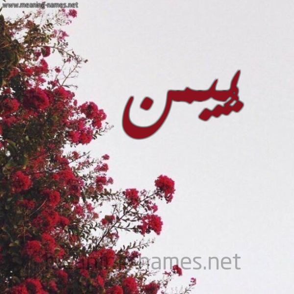 شكل 18 صوره الورد الأحمر للإسم بخط رقعة صورة اسم يُيمن Yomn