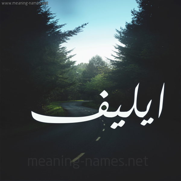 صور اسم ايليف قاموس الأسماء و المعاني