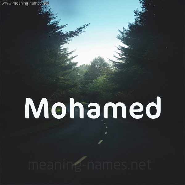 شكل 19 صوره طريق بين الشجر بخط رقعة