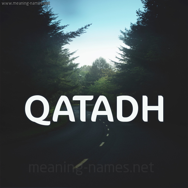 شكل 19 صوره طريق بين الشجر بخط رقعة