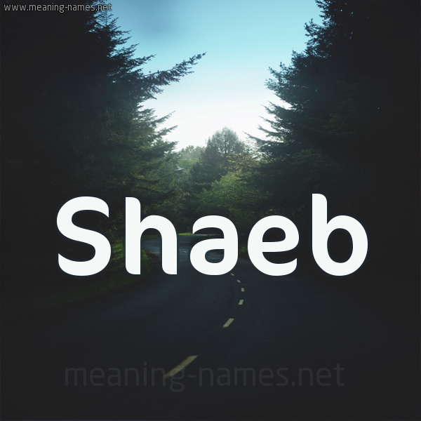 شكل 19 صوره طريق بين الشجر بخط رقعة