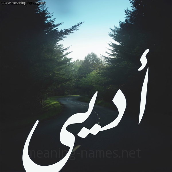 شكل 19 صوره طريق بين الشجر بخط رقعة