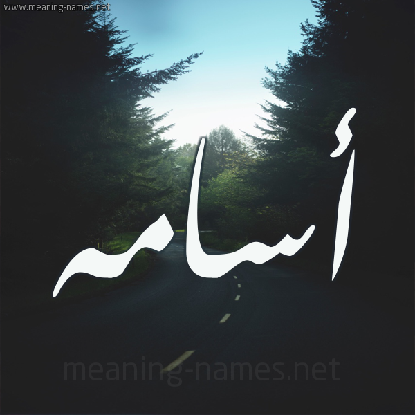 شكل 19 صوره طريق بين الشجر بخط رقعة صورة اسم أسامه ASAMH