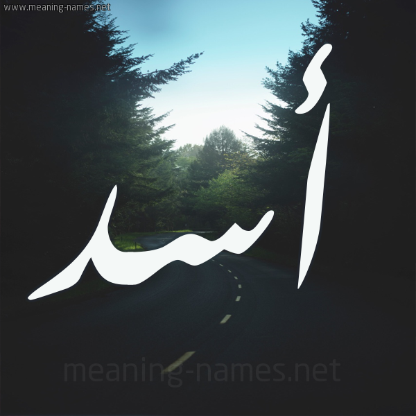 شكل 19 صوره طريق بين الشجر بخط رقعة صورة اسم أسد Asd