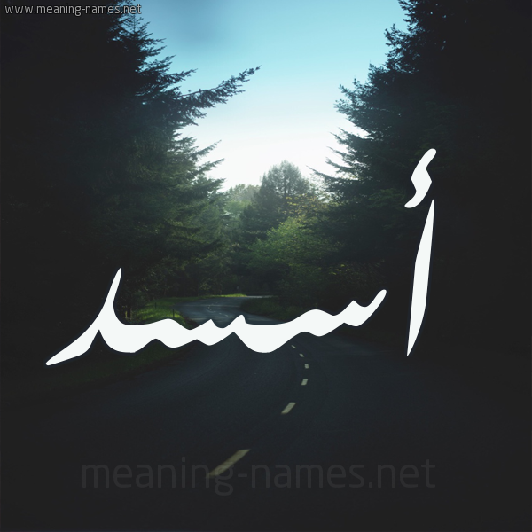 شكل 19 صوره طريق بين الشجر بخط رقعة صورة اسم أسسد Asad