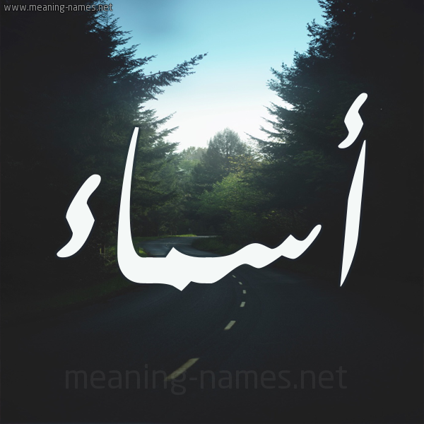 شكل 19 صوره طريق بين الشجر بخط رقعة صورة اسم أسماء Asmaa