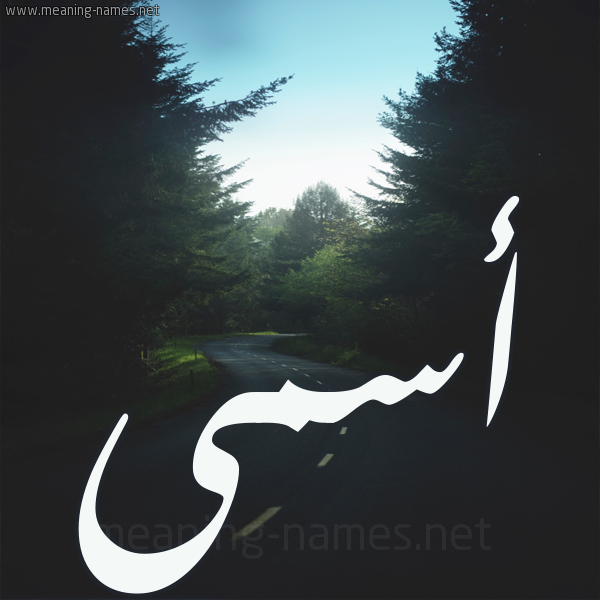شكل 19 صوره طريق بين الشجر بخط رقعة صورة اسم أسمى Asma