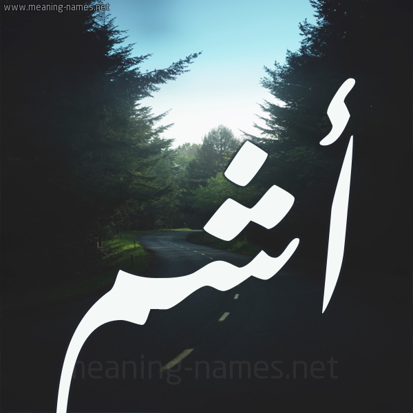 شكل 19 صوره طريق بين الشجر بخط رقعة صورة اسم أشم ASHM