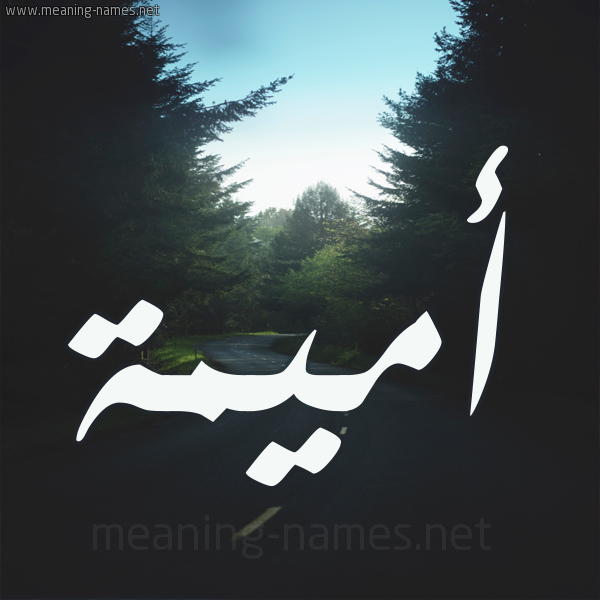 شكل 19 صوره طريق بين الشجر بخط رقعة صورة اسم أميمة Omima