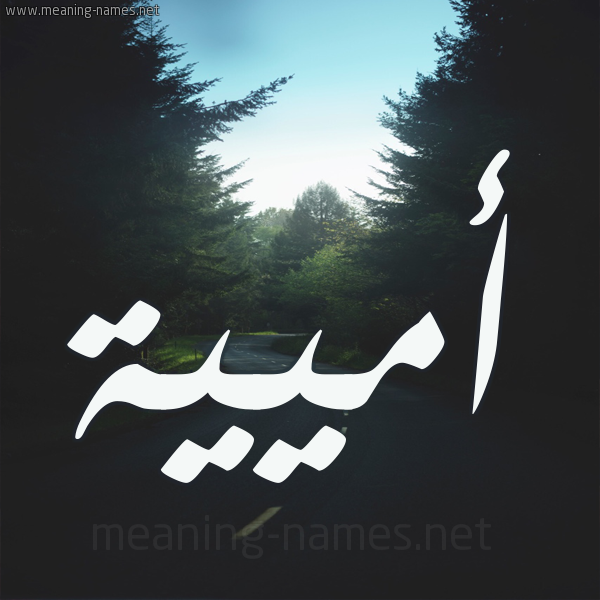 شكل 19 صوره طريق بين الشجر بخط رقعة صورة اسم أميية Umayyah