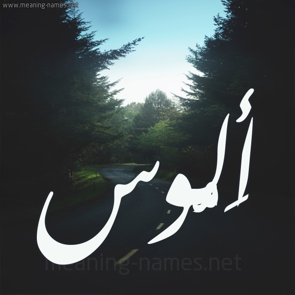 شكل 19 صوره طريق بين الشجر بخط رقعة صورة اسم أَلُّوس AALOOS شكل 19 صوره طريق بين الشجر بخط رقعة صورة اسم أَلُّوس AALOOS