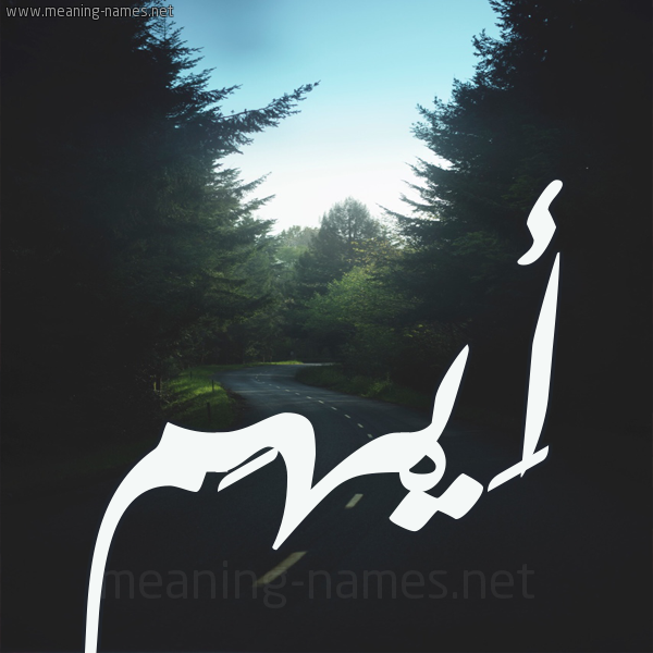 شكل 19 صوره طريق بين الشجر بخط رقعة صورة اسم أَيْهَم AAIHAM