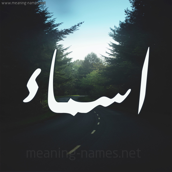 شكل 19 صوره طريق بين الشجر بخط رقعة صورة اسم اسماء Asmaa