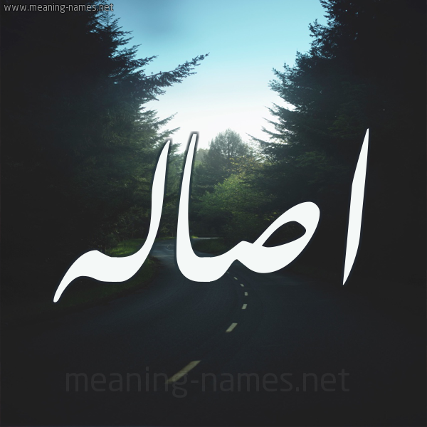 شكل 19 صوره طريق بين الشجر بخط رقعة صورة اسم اصاله ASALH