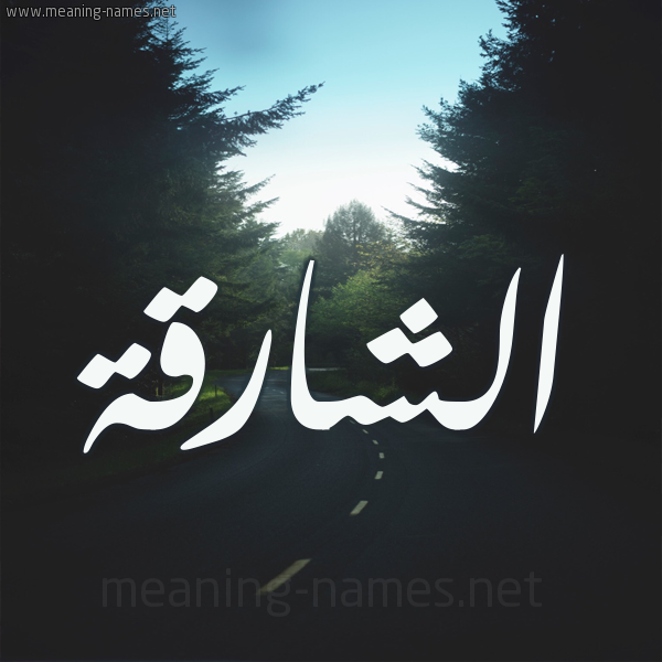 شكل 19 صوره طريق بين الشجر بخط رقعة
