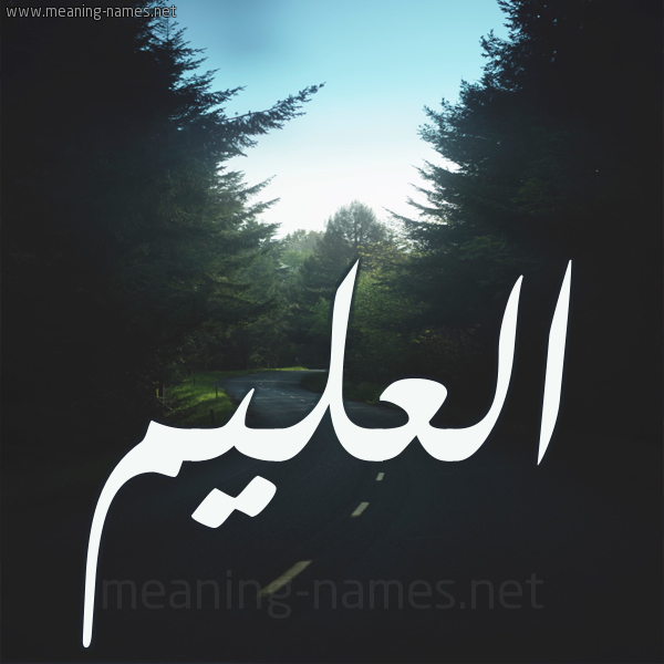 شكل 19 صوره طريق بين الشجر بخط رقعة