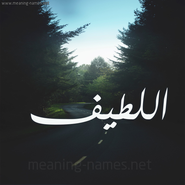 شكل 19 صوره طريق بين الشجر بخط رقعة