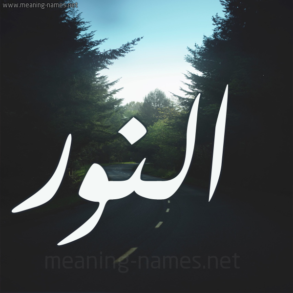 شكل 19 صوره طريق بين الشجر بخط رقعة