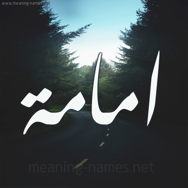 شكل 19 صوره طريق بين الشجر بخط رقعة صورة اسم امامة AMAMH