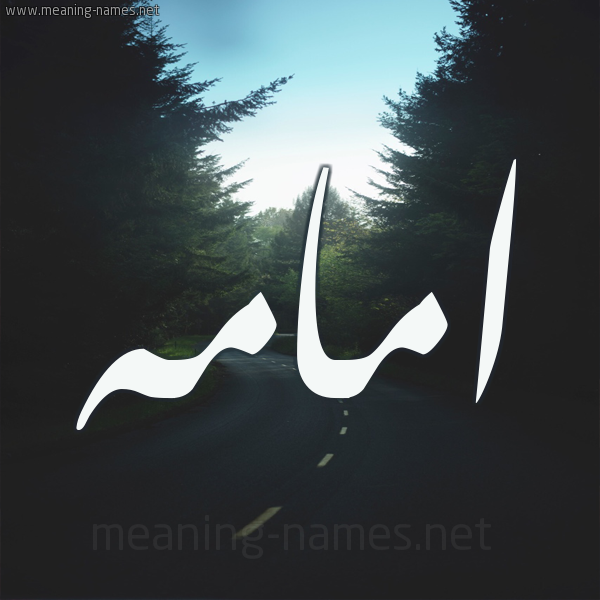 شكل 19 صوره طريق بين الشجر بخط رقعة صورة اسم امامه أمامه-Omamah