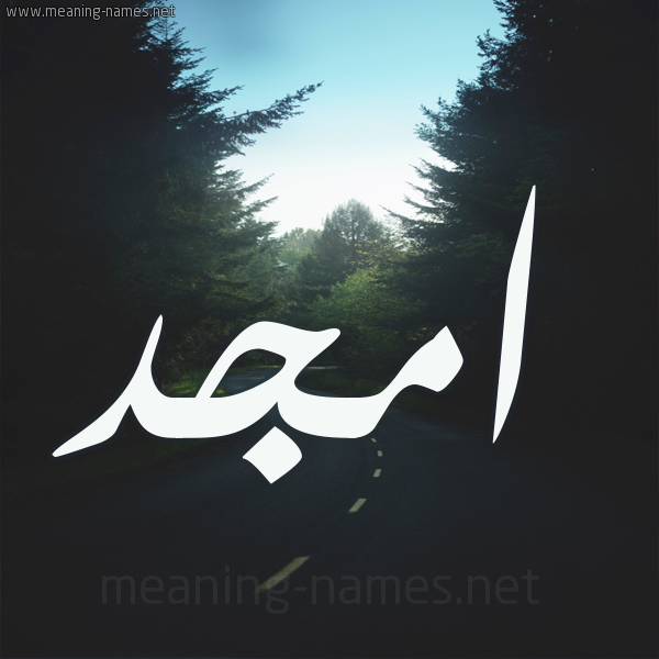 شكل 19 صوره طريق بين الشجر بخط رقعة صورة اسم امجد Amgd