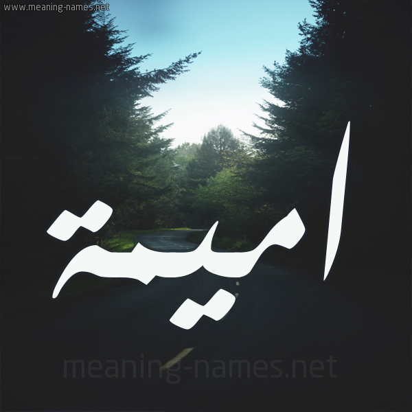 شكل 19 صوره طريق بين الشجر بخط رقعة صورة اسم اميمة Omima