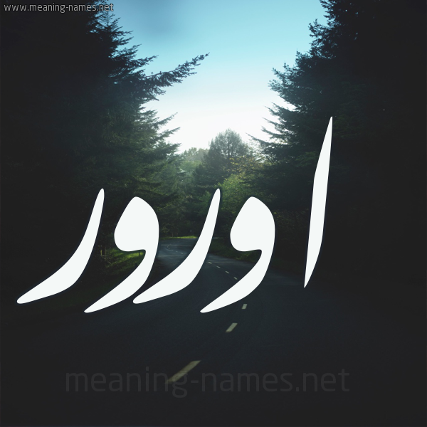 شكل 19 صوره طريق بين الشجر بخط رقعة