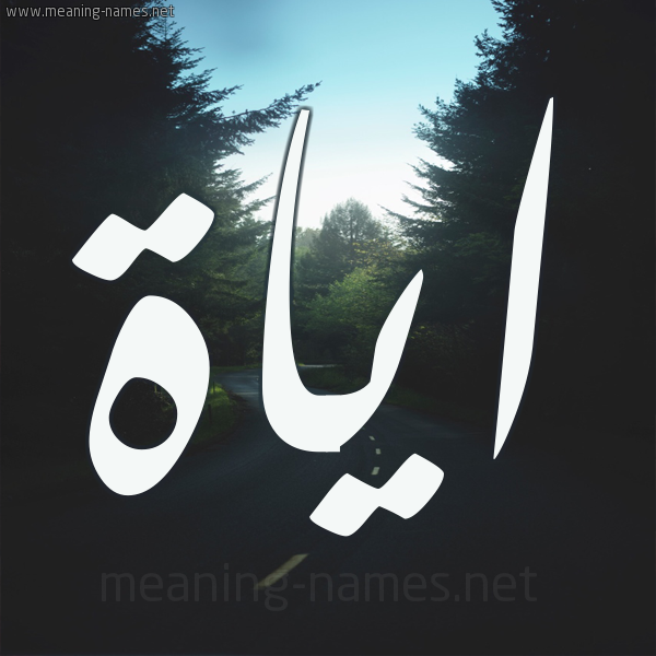 شكل 19 صوره طريق بين الشجر بخط رقعة صورة اسم اياة AIAH