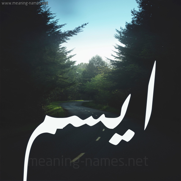 شكل 19 صوره طريق بين الشجر بخط رقعة صورة اسم ايسم Aysam