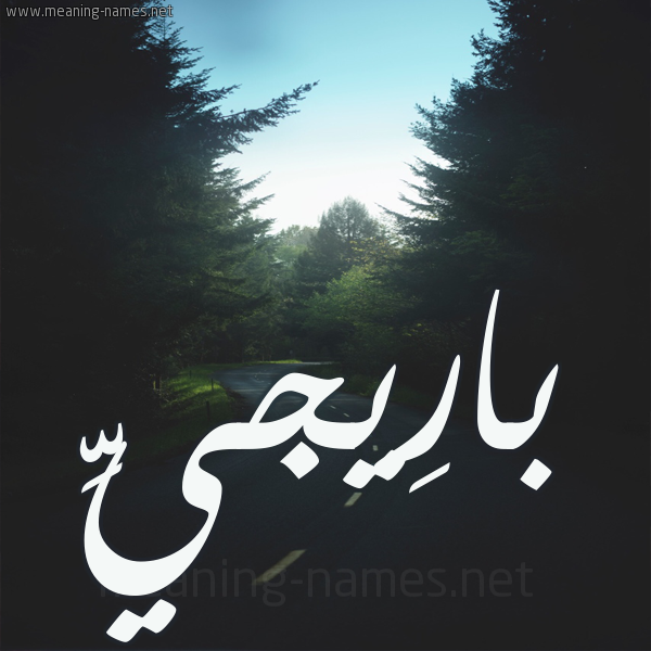 شكل 19 صوره طريق بين الشجر بخط رقعة صورة اسم بارِيجيِّ BAREIGIE شكل 19 صوره طريق بين الشجر بخط رقعة صورة اسم بارِيجيِّ BAREIGIE