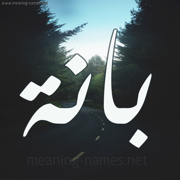 شكل 19 صوره طريق بين الشجر بخط رقعة صورة اسم بانة Banh