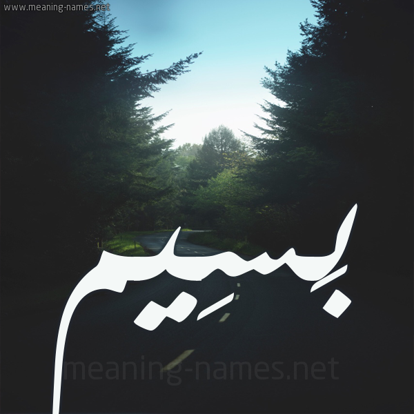 شكل 19 صوره طريق بين الشجر بخط رقعة صورة اسم بَسِيم BASEIM