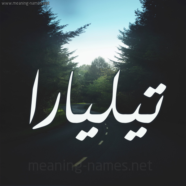 شكل 19 صوره طريق بين الشجر بخط رقعة