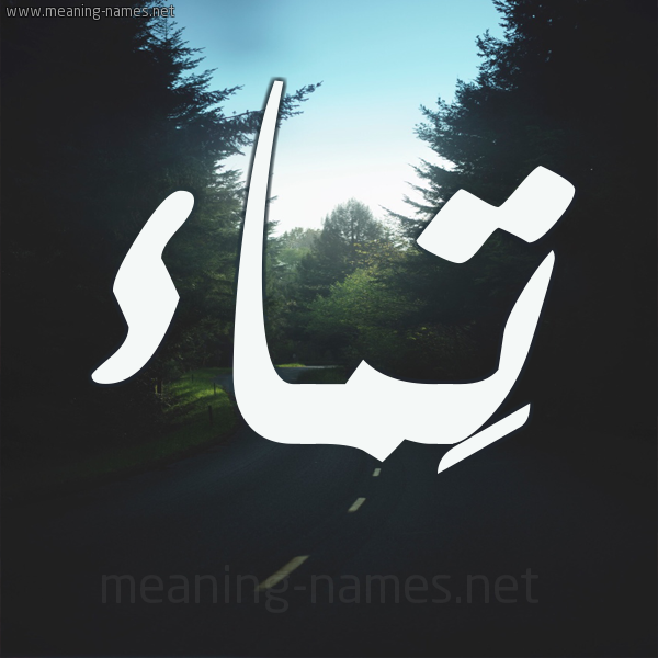 شكل 19 صوره طريق بين الشجر بخط رقعة صورة اسم تَماء Taymaa