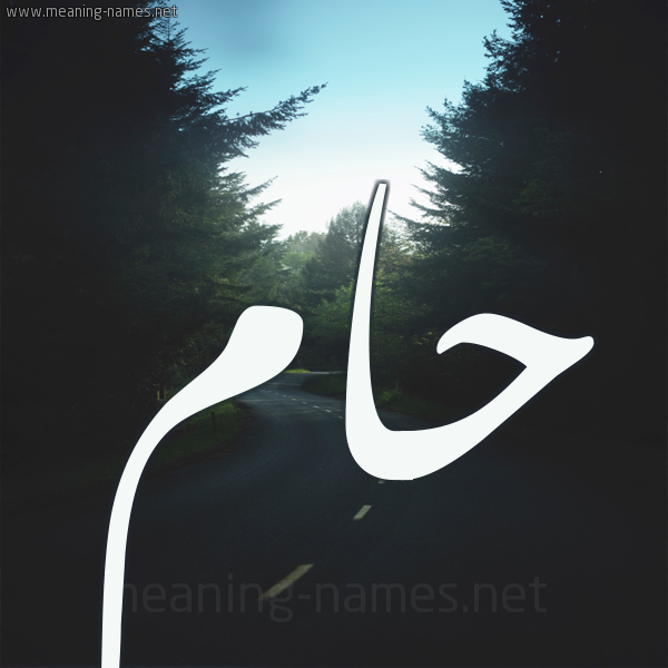 شكل 19 صوره طريق بين الشجر بخط رقعة صورة اسم حام HAM