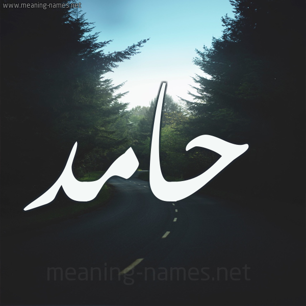 شكل 19 صوره طريق بين الشجر بخط رقعة صورة اسم حامد Hamd