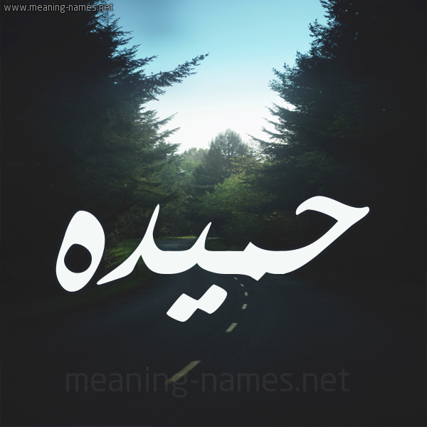 شكل 19 صوره طريق بين الشجر بخط رقعة صورة اسم حميده Hameda
