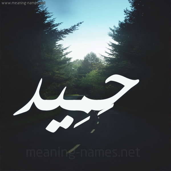 شكل 19 صوره طريق بين الشجر بخط رقعة صورة اسم حَمِيد HAMEID