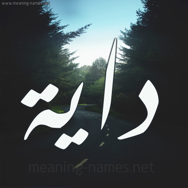 شكل 19 صوره طريق بين الشجر بخط رقعة