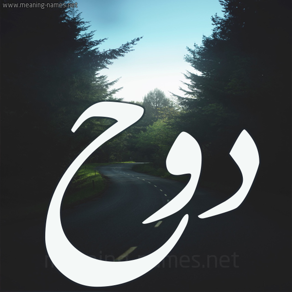 شكل 19 صوره طريق بين الشجر بخط رقعة صورة اسم دوح Dwh