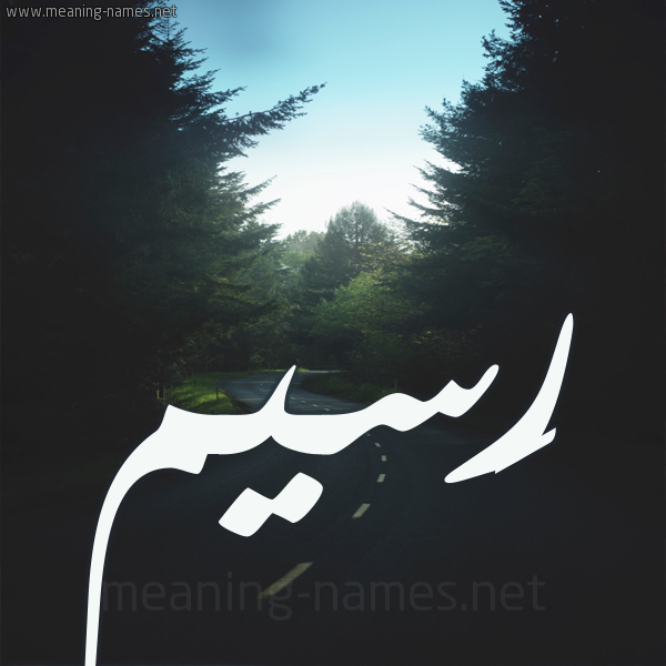 شكل 19 صوره طريق بين الشجر بخط رقعة صورة اسم رَسيم Rasim