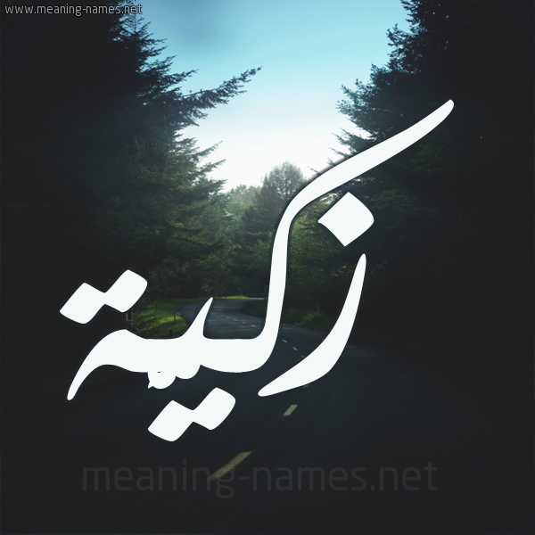 شكل 19 صوره طريق بين الشجر بخط رقعة صورة اسم زكيَّة ZKIAH شكل 19 صوره طريق بين الشجر بخط رقعة صورة اسم زكيَّة ZKIAH