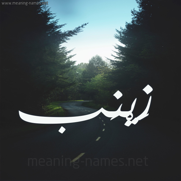 شكل 19 صوره طريق بين الشجر بخط رقعة صورة اسم زَيْنَب Zainab