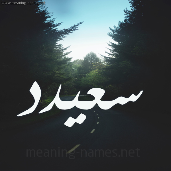 شكل 19 صوره طريق بين الشجر بخط رقعة صورة اسم سعيدد Said