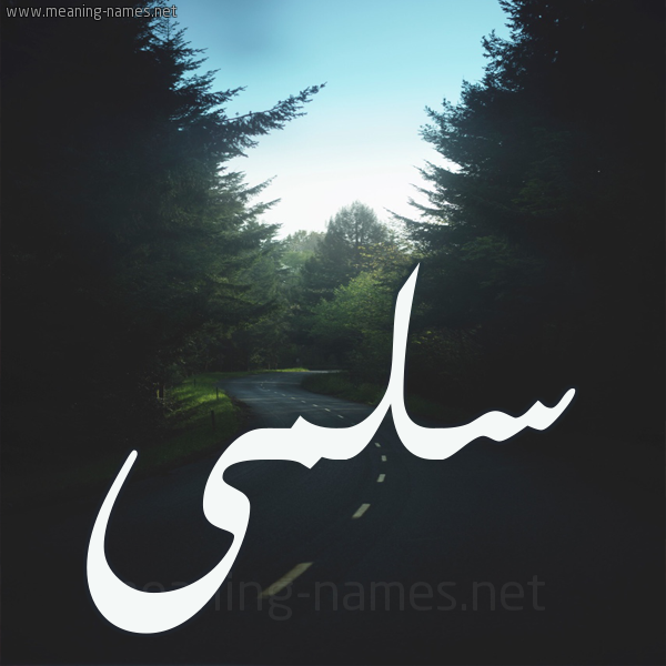 شكل 19 صوره طريق بين الشجر بخط رقعة صورة اسم سلمى Salma
