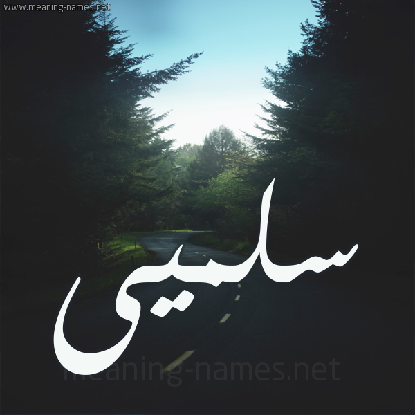 شكل 19 صوره طريق بين الشجر بخط رقعة صورة اسم سلميى Salma