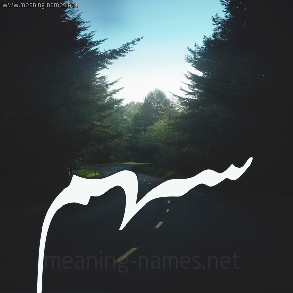 شكل 19 صوره طريق بين الشجر بخط رقعة صورة اسم سهم S'hm