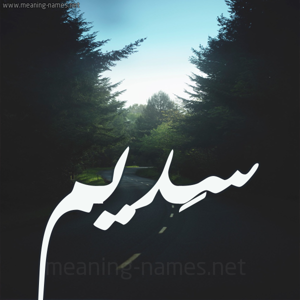 شكل 19 صوره طريق بين الشجر بخط رقعة صورة اسم سَديم SADIM